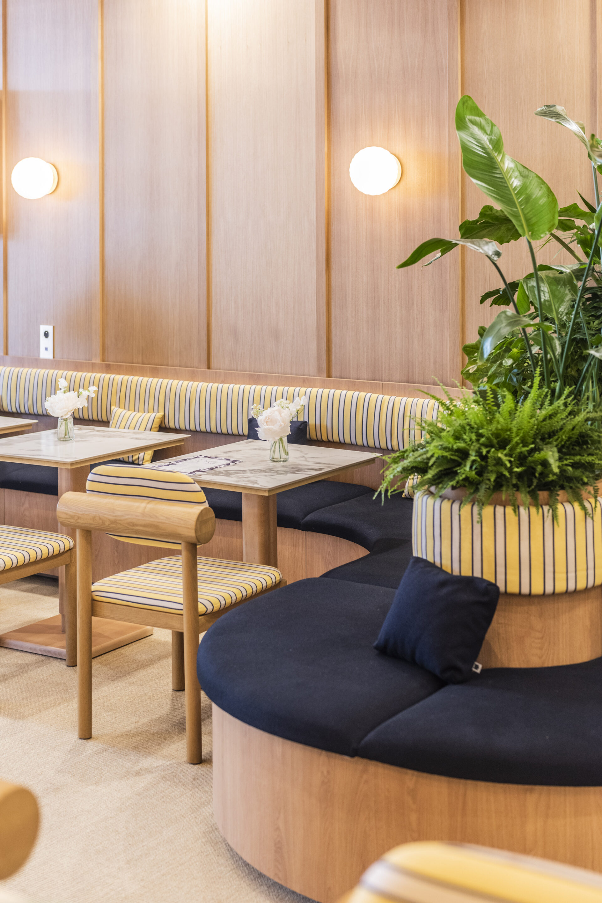 Banquettes sur mesure en bois avec assises tissu rayé, intégrées dans un agencement végétalisé